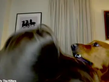 Chaturbate Best Webcam of x_lily_x