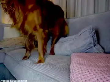 Chaturbate Sex Chat of x_lily_x