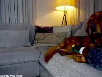 Chaturbate Live Sex Cam of x_lily_x