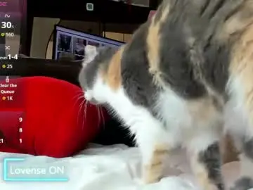 Chaturbate Live Sex of sweety_cum