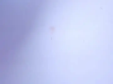 Chaturbate Live Sex of alissanix