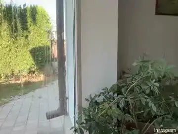 Chaturbate Free Porn Cam of patry333