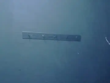 Chaturbate Nude Webcam of venus_rock