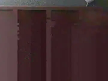 Chaturbate Free Live Porn of airbornx2n1