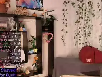 Chaturbate Adult Webcams of novaharper