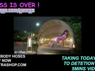 Chaturbate Adult Video Chat of livecleo