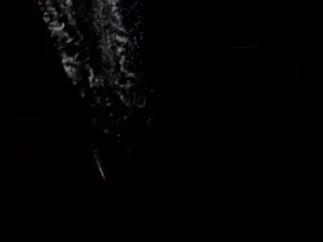 Chaturbate Live Sex of thevixensapphire