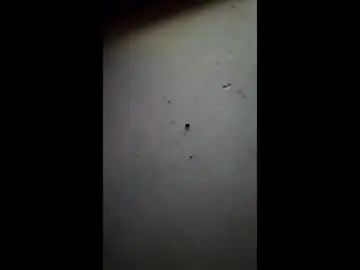 Chaturbate Private Sex Chat of _frankie_rivers