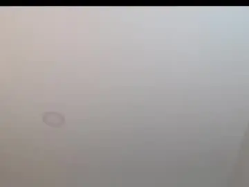 Chaturbate Sex Cam of amadamar