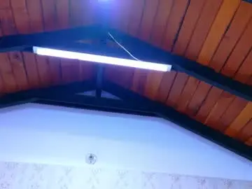 Chaturbate Free Porn Cam of kelly_swift