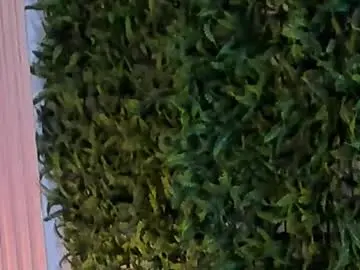 Chaturbate Nude Webcam of velvetscarlett