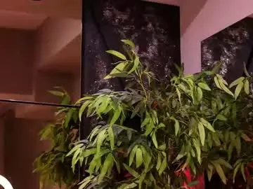 Chaturbate Adult Webcams of hayliemilf