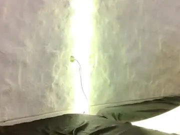 Chaturbate Adult Webcam of monique_a