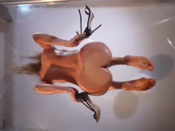 Chaturbate Nude Webcam of heybanan