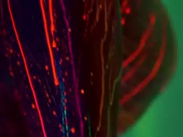 Chaturbate Adult Webcam of heybanan