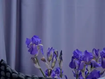 Chaturbate Private Sex Chat of roseevansx