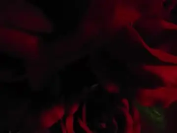 Chaturbate Private Sex Chat of gina_hotlick