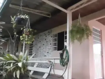 Chaturbate Live Porn of laylabrasil