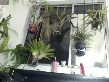Chaturbate Sex Chat of cat_salo