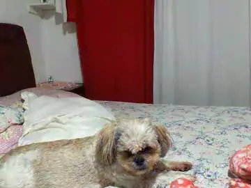 Chaturbate Nude Webcam of gabibrasil