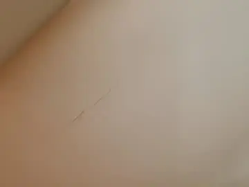 Chaturbate Adult Webcam of ce_leste_