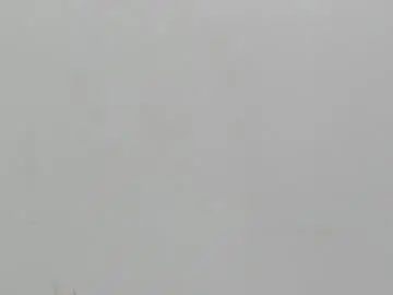 Chaturbate Live Sex of irina_shayka_