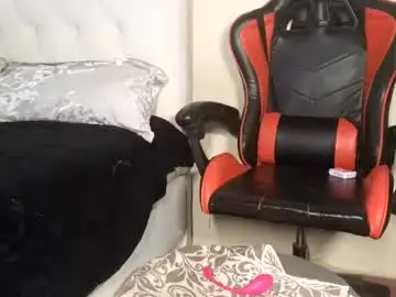 Chaturbate Live Sex of nicckah_