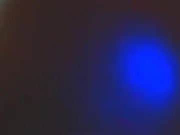 Chaturbate Live Sex Cam of exoticlexi