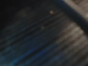 Chaturbate Live Porn of exoticlexi