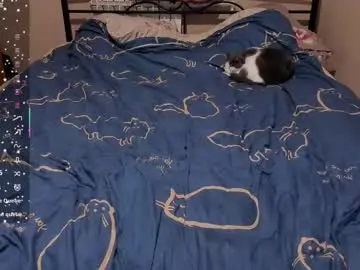 Chaturbate Adult Webcams of eva_zero