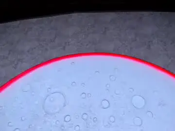 Chaturbate Live Porn of reiinachloe