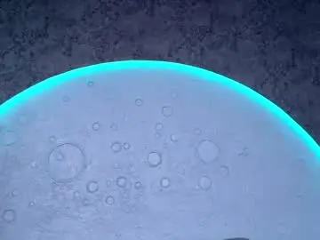 Chaturbate Sex Chat of reiinachloe