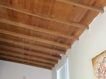 Chaturbate Live Sex Cam of nicollbashel