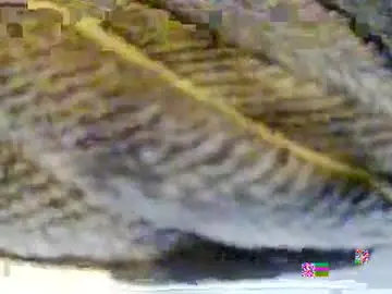 Chaturbate Sex Cam of thatonebihhxxo