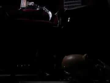 Chaturbate Adult Video Chat of megoddessara