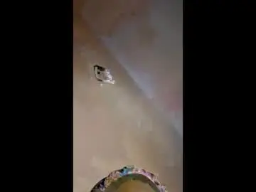 Chaturbate Sex Cam of mouthymiss