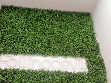 Chaturbate Adult Video Chat of hotfallingdevil