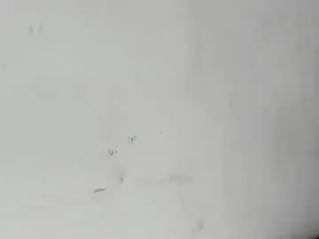 Chaturbate Free Live Porn of aliciaa93