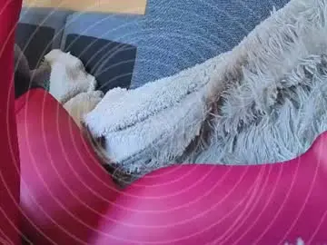 Chaturbate Adult Webcam of niatonoori