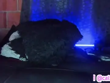 Chaturbate Adult Webcams of cata_angel1