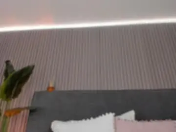 Chaturbate Best Webcam of emelie_89