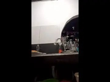 Chaturbate Live Porn of shanelle7