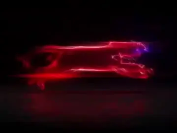 Chaturbate Live Sex of cristhall_suseej