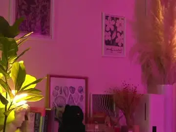 Chaturbate Adult Video Chat of akaruiiii