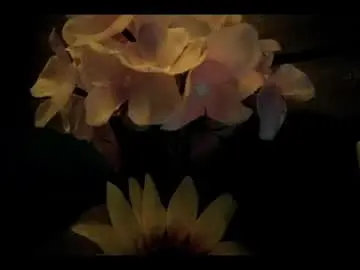 Chaturbate Watch Live Sex Cams of vickyvalencia2