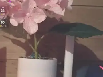 Chaturbate Sex Cam of vickyvalencia2