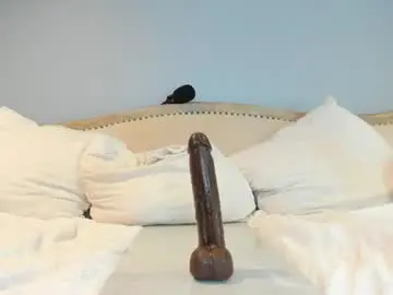 Chaturbate Live Porn of eatmygingersnapps