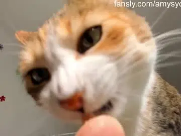 Chaturbate Adult Webcam of thisisamelia