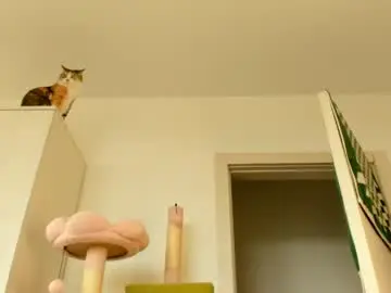 Chaturbate Free Porn Cam of thisisamelia