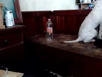 Chaturbate Watch Live Sex Cams of sailor_ruby7
